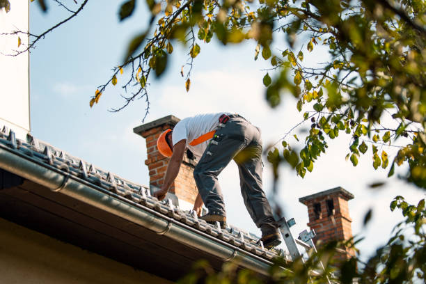 Quick and Trustworthy Emergency Roof Repair Services in Loudon, TN